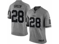 Men's Nike Washington Redskins #28 Darrell Green Limited Gray Gridiron NFL Jersey