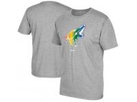 NFL Men's Arizona Coyotes Reebok Rainbow Pride T-Shirt - Gray