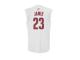 LeBron James Cleveland Cavaliers adidas Fashion Replica Jersey - White